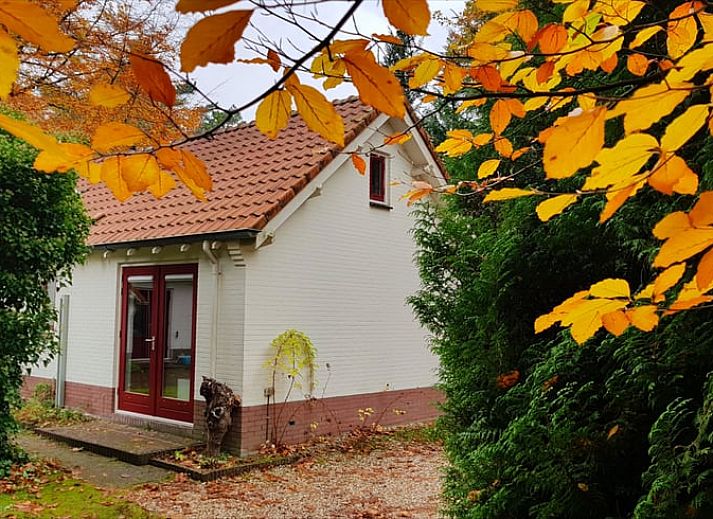 Verblijf 322303 • Vakantiewoning Veluwe • Vakantiehuisje in Vaassen
