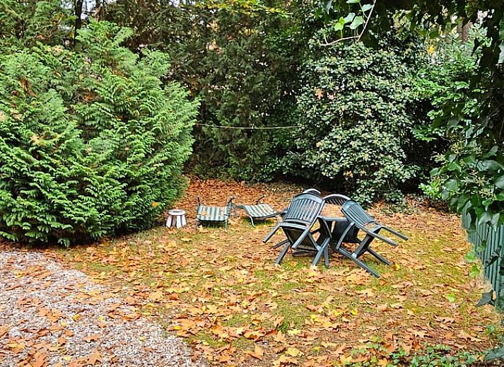 Guest house 322303 - Holiday property Veluwe - Vakantiehuisje in Vaassen