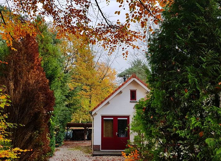 Guest house 322303 - Holiday property Veluwe - Vakantiehuisje in Vaassen