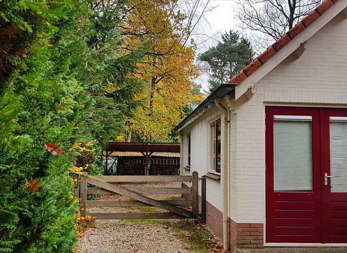 Guest house 322303 - Holiday property Veluwe - Vakantiehuisje in Vaassen