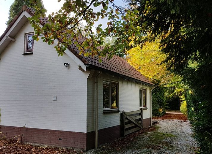 Guest house 322303 - Holiday property Veluwe - Vakantiehuisje in Vaassen