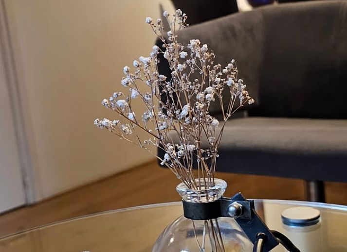 Guest house 322303 - Holiday property Veluwe - Vakantiehuisje in Vaassen