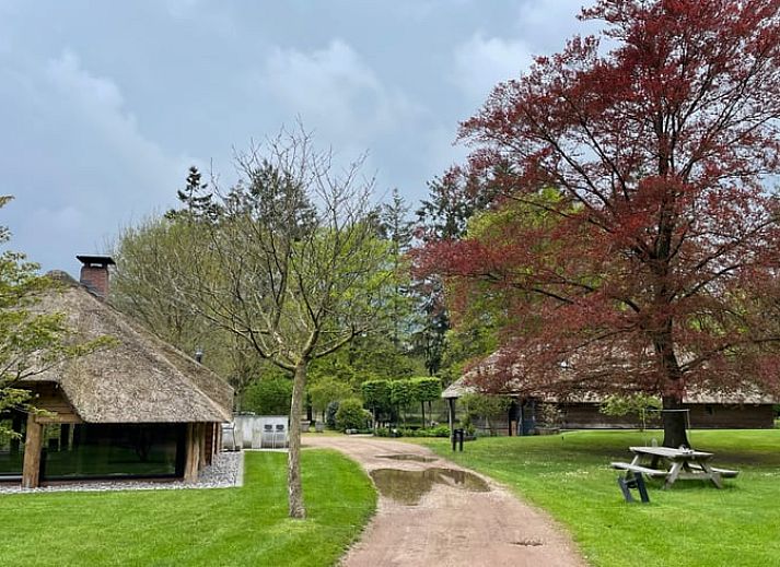 Unterkunft 322306 - Ferienhaus Veluwe - Vakantiehuis in Vaassen