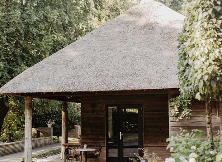 Unterkunft 322306 - Ferienhaus Veluwe - Vakantiehuis in Vaassen