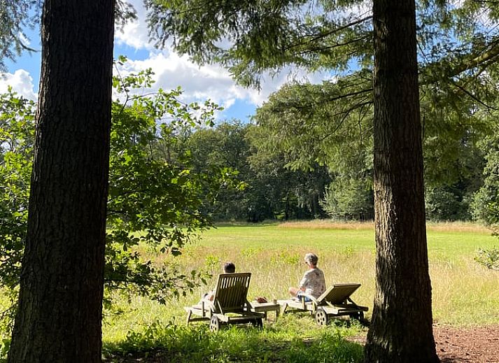 Unterkunft 322306 - Ferienhaus Veluwe - Vakantiehuis in Vaassen