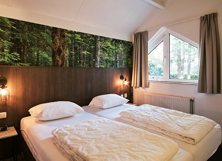 Unterkunft 322309 - Ferienhaus Veluwe - Vakantiehuisje in Vaassen