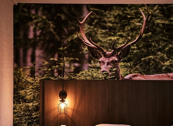 Unterkunft 322309 - Ferienhaus Veluwe - Vakantiehuisje in Vaassen