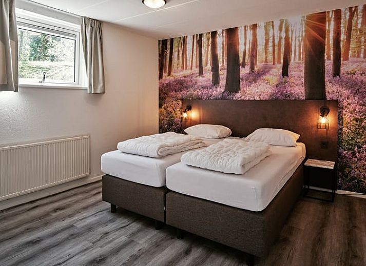 Unterkunft 322309 - Ferienhaus Veluwe - Vakantiehuisje in Vaassen