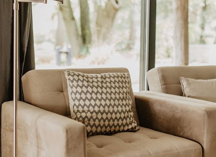 Gemuetliches Interieur eines Ferienhauses in Vaassen mit Kunst an der Wand, Veluwe, Gelderland.