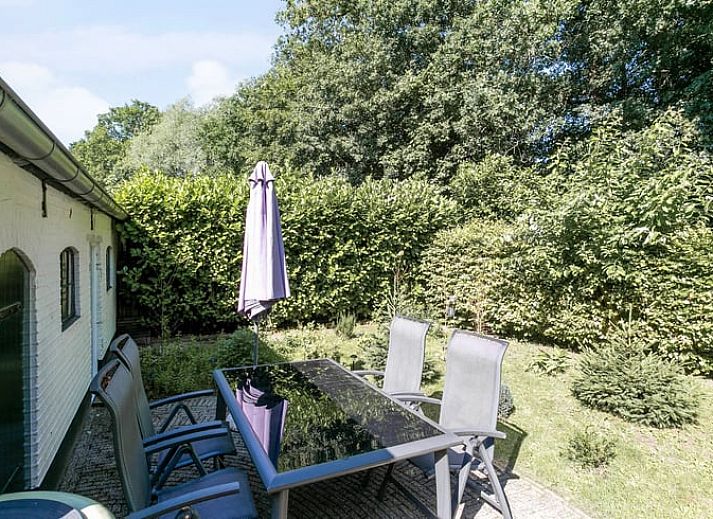 Ferienhaus in Vaassen in der Veluwe, Gelderland, mit sonniger Terrasse und gruener Umgebung.