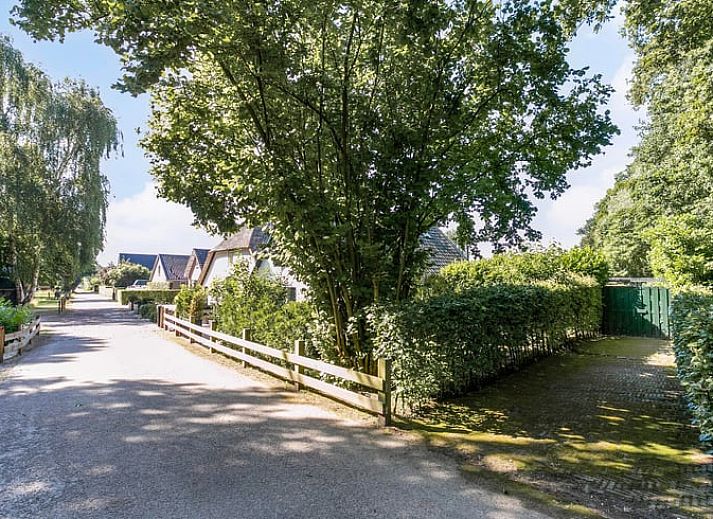 Ferienhaus in Vaassen in der Veluwe, Gelderland, mit sonniger Terrasse und gruener Umgebung.