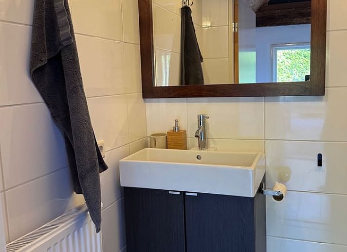 Ruhige Strasse mit Baeumen in der Naehe des Ferienhauses in Vaassen, Veluwe, ideal fuer Spaziergaenge.