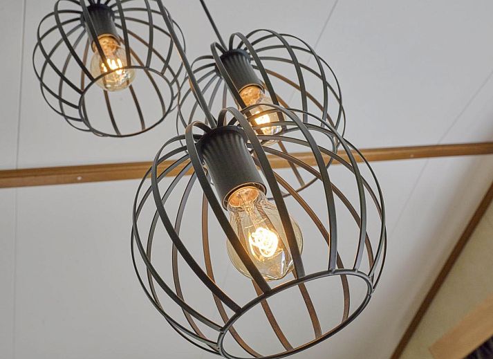 Ruime woonkamer van vakantiehuis Hermelijn in Hulshorst, Veluwe met veel lichtinval.