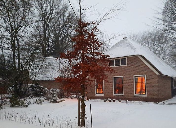 Sfeervol winterlandschap bij Vakantiehuisje in Hulshorst, Veluwe, Gelderland met besneeuwde tuin.