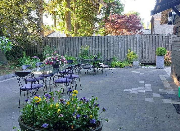 Zomerse buitenkant van Vakantiehuisje in Hulshorst, Veluwe, Gelderland met groene tuin.