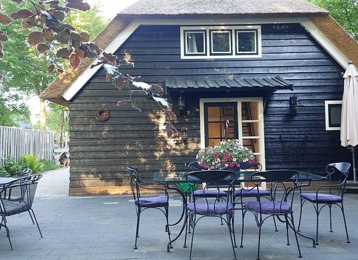 Zomerse buitenkant van Vakantiehuisje in Hulshorst, Veluwe, Gelderland met groene tuin.