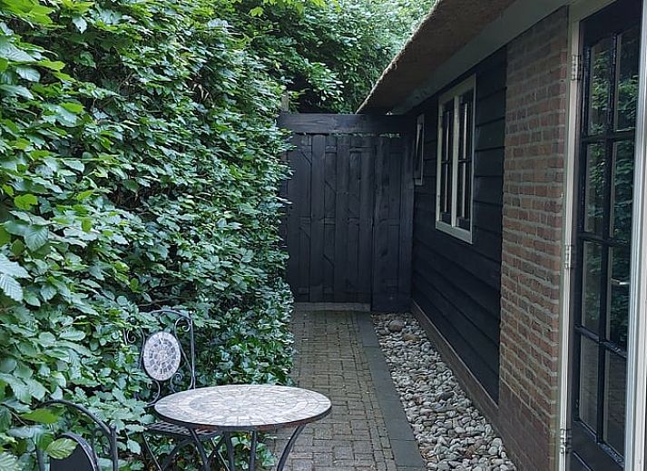 Zomerse buitenkant van Vakantiehuisje in Hulshorst, Veluwe, Gelderland met groene tuin.