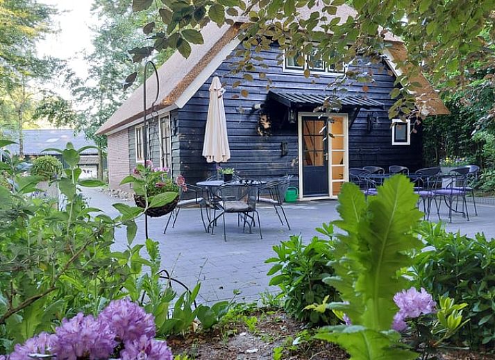 Charmante gevel van Vakantiehuisje in Hulshorst, Veluwe, Gelderland met grasveld en bomen.