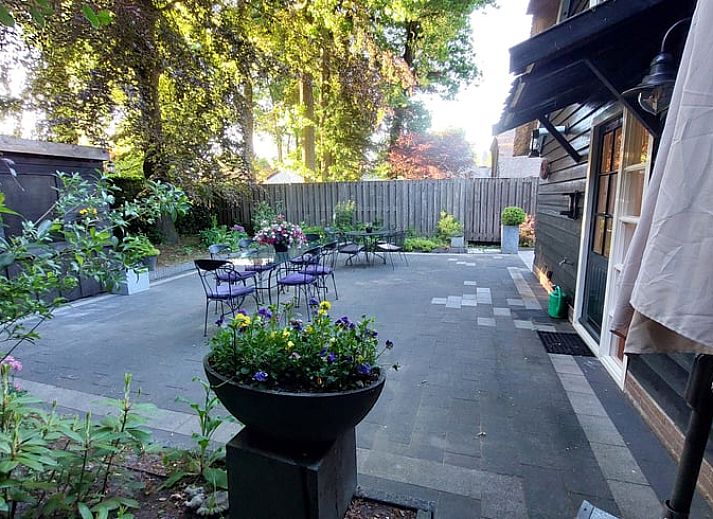 Rieten dak van Vakantiehuisje in Hulshorst, Veluwe, Gelderland onder blauwe lucht.