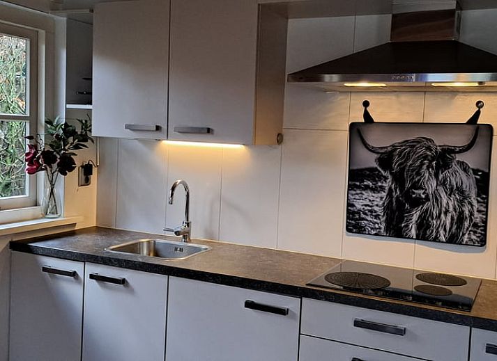 Toegangsweg met groen bij Vakantiehuisje in Hulshorst, Veluwe, Gelderland.