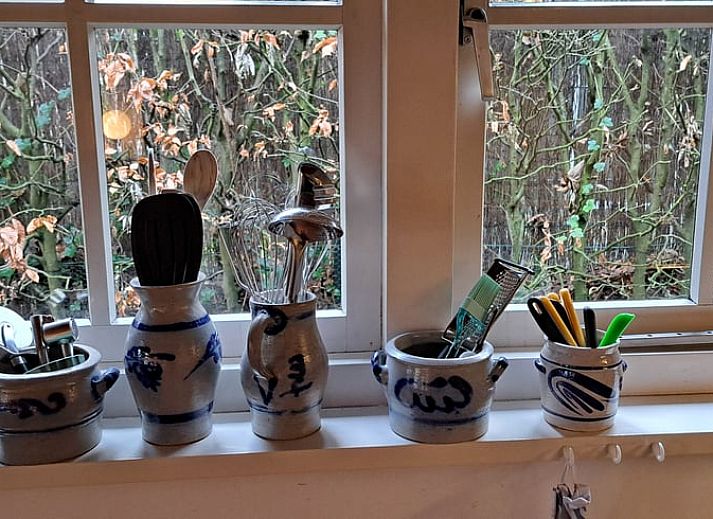 Toegangsweg met groen bij Vakantiehuisje in Hulshorst, Veluwe, Gelderland.