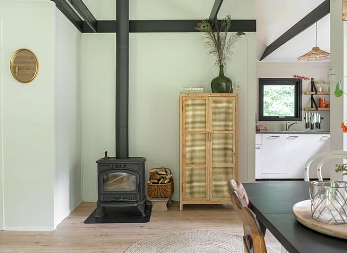 Exterior view of vacation home in Hulshorst with terrace, Veluwe, Gelderland.