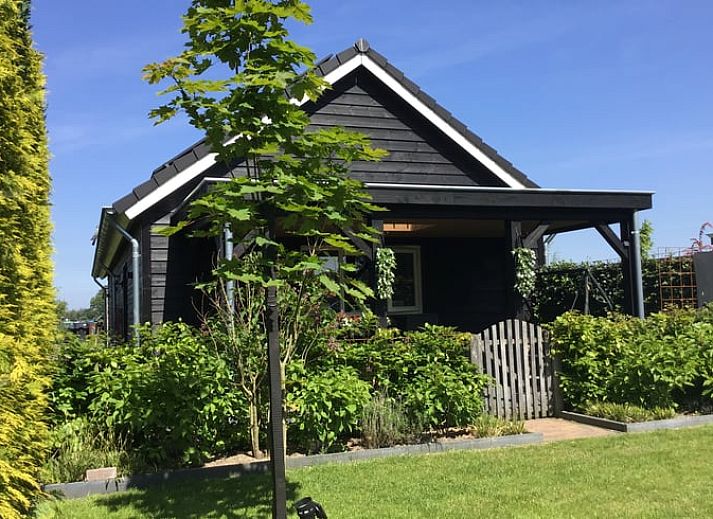 Ferienhaus in Hulshorst mit gruenem Garten und Fahrrad, Veluwe, Gelderland.