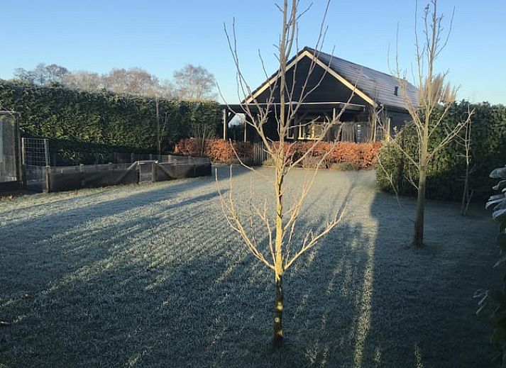 Ferienhaus in Hulshorst mit gruenem Garten und Fahrrad, Veluwe, Gelderland.