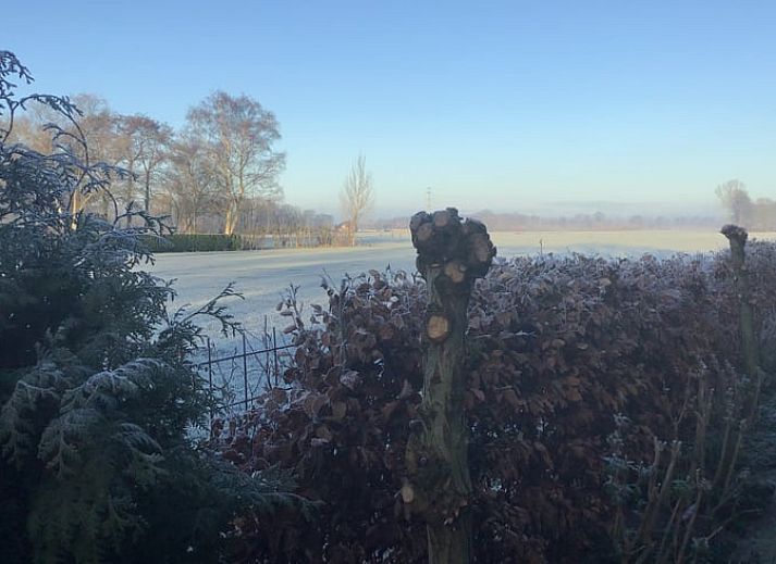Ferienhaus in Hulshorst mit gruenem Garten und Fahrrad, Veluwe, Gelderland.