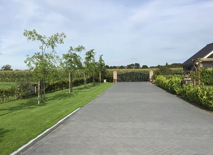 Vorderseite des Ferienhauses in Hulshorst, umgeben von ueppiger Natur, Veluwe.