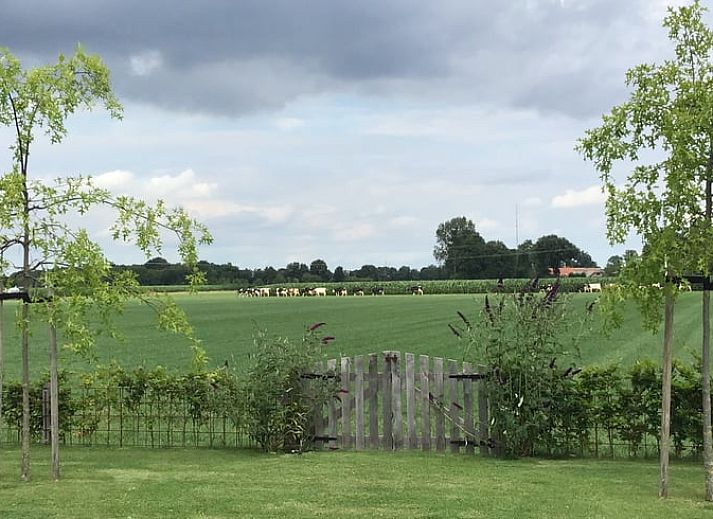 Vorderseite des Ferienhauses in Hulshorst, umgeben von ueppiger Natur, Veluwe.