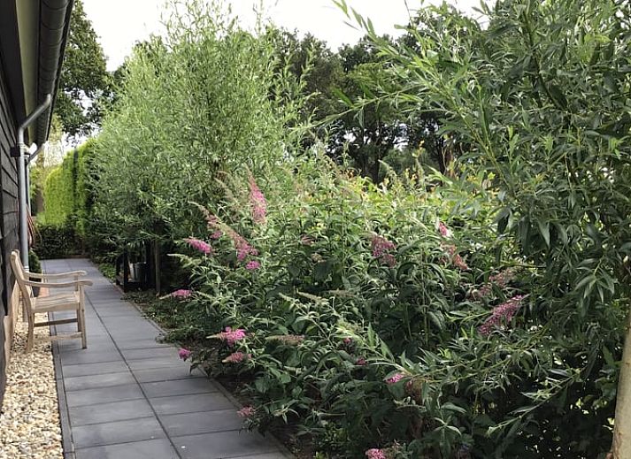 Vorderseite des Ferienhauses in Hulshorst, umgeben von ueppiger Natur, Veluwe.