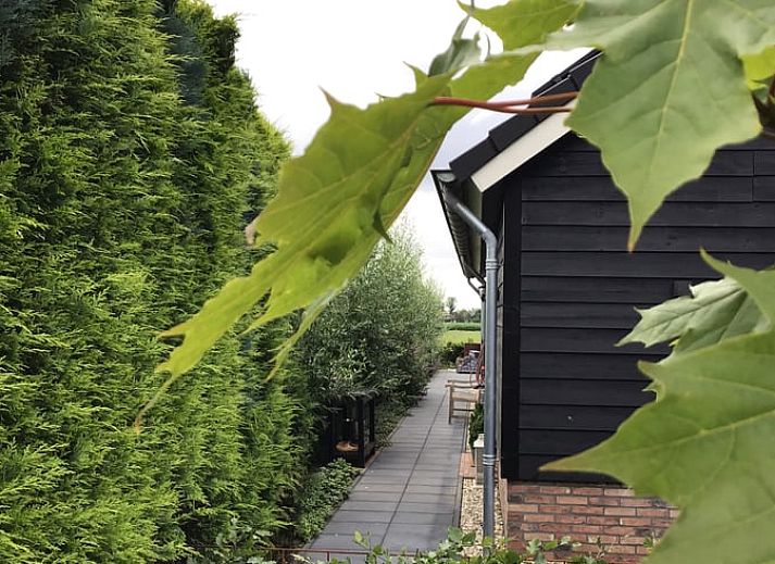 Vorderseite des Ferienhauses in Hulshorst, umgeben von ueppiger Natur, Veluwe.