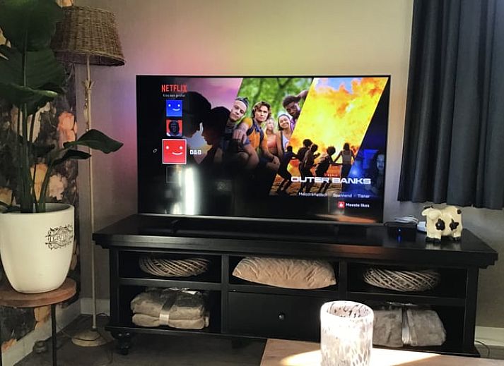 Wintergarten des Ferienhauses in Hulshorst mit Raureif, Veluwe, Gelderland.