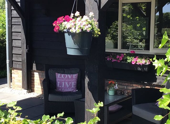 Sonnenaufgang von der Veranda des Ferienhauses in Hulshorst, Veluwe.