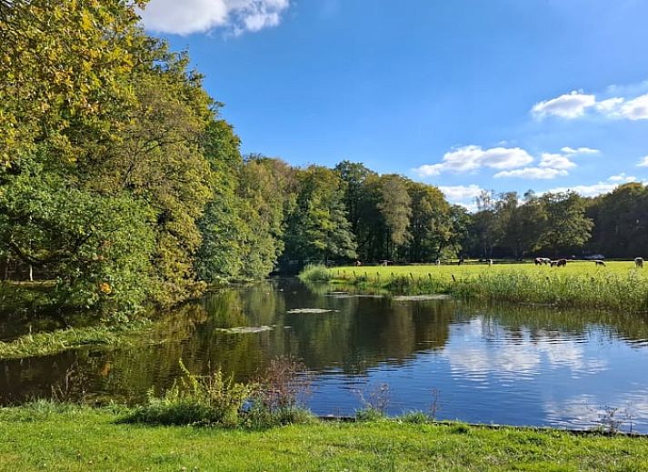 Blick auf verschneite Felder beim Ferienhaus in Hulshorst, Veluwe.