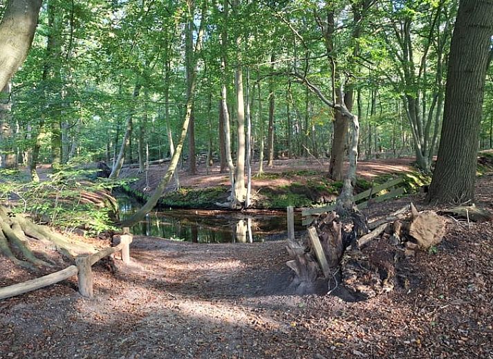 Blick auf verschneite Felder beim Ferienhaus in Hulshorst, Veluwe.