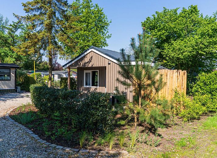 Unterkunft 3224124 - Ferienhaus Veluwe - De Fazant