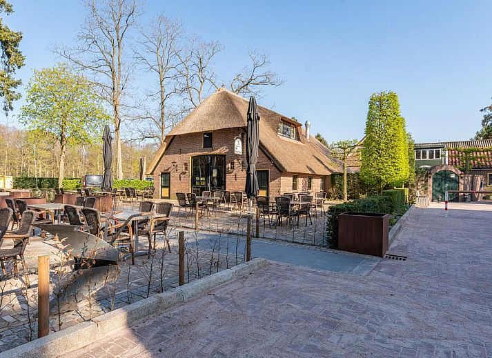 Comfortabele woonkamer in Tiny Koolmees vakantiehuis in Hulshorst, Veluwe.