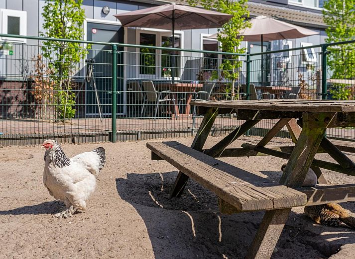 Moderne keuken in Tiny Koolmees vakantiehuis in Hulshorst, Veluwe.