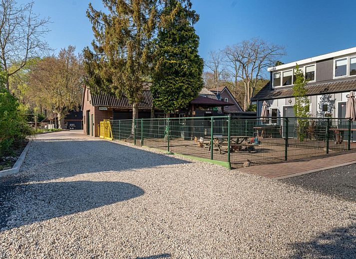 Moderne keuken in Tiny Koolmees vakantiehuis in Hulshorst, Veluwe.