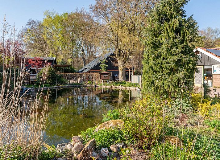 Guest house 3224126 - Holiday property Veluwe - Tiny Zwarte Mees
