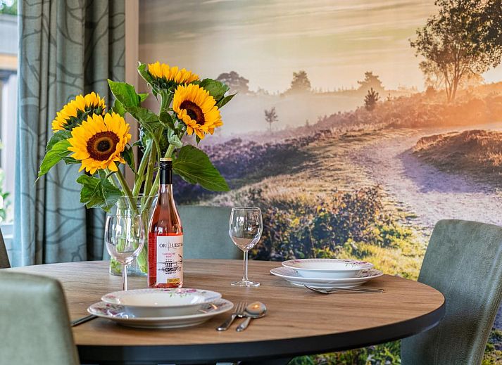Private jacuzzi at De Tortelduif chalet in Hulshorst, Veluwe, Gelderland.