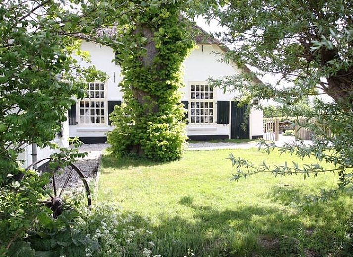 Charmant vakantiehuis in Hulshorst met rieten dak, omgeven door natuur in de Veluwe, Gelderland.