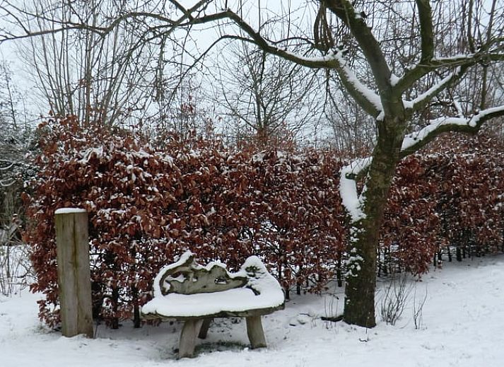 Vakantiehuis in Hulshorst met groene tuin, een oase van rust in de Veluwe, Gelderland.