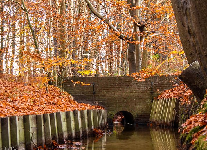 Ess- und Sitzecke im Ferienhaus Haas, Hulshorst, Veluwe, ideal fuer Familien.