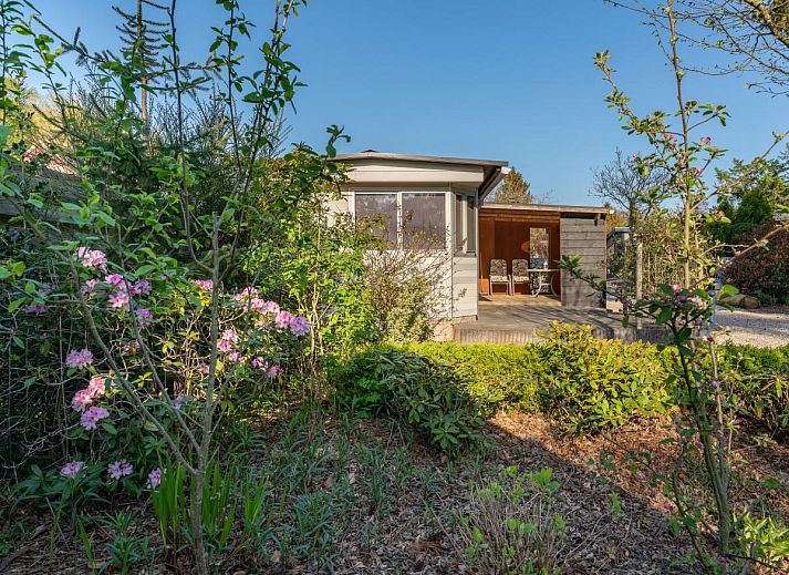 Guest house 322432 • Chalet Veluwe • Eekhoorn