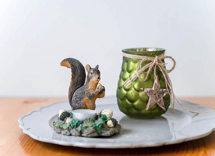 Modern kitchen of chalet Eekhoorn in Hulshorst, Veluwe with all amenities.