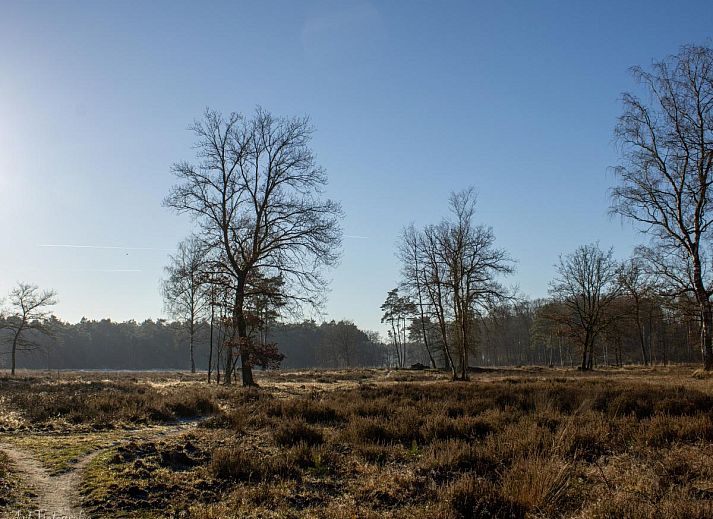 Modern kitchen of chalet Eekhoorn in Hulshorst, Veluwe with all amenities.