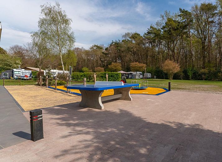 Bedroom with single bed in chalet Eekhoorn, Hulshorst, Veluwe, Gelderland.